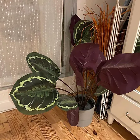 018 Chic & Cosy F1 41m2 Hypercentre Wifi Smart Tv Netflix Saint-Etienne (Loire)